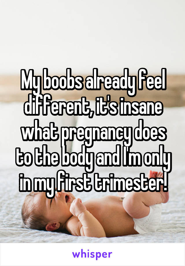 My boobs already feel different, it's insane what pregnancy does to the body and I'm only in my first trimester!
