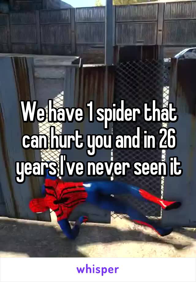 We have 1 spider that can hurt you and in 26 years I've never seen it