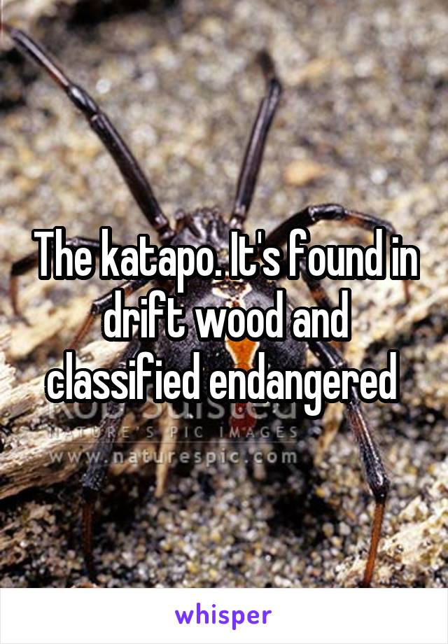 The katapo. It's found in drift wood and classified endangered 