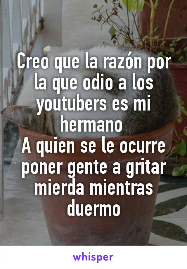 Creo que la razón por la que odio a los youtubers es mi hermano 
A quien se le ocurre poner gente a gritar mierda mientras duermo