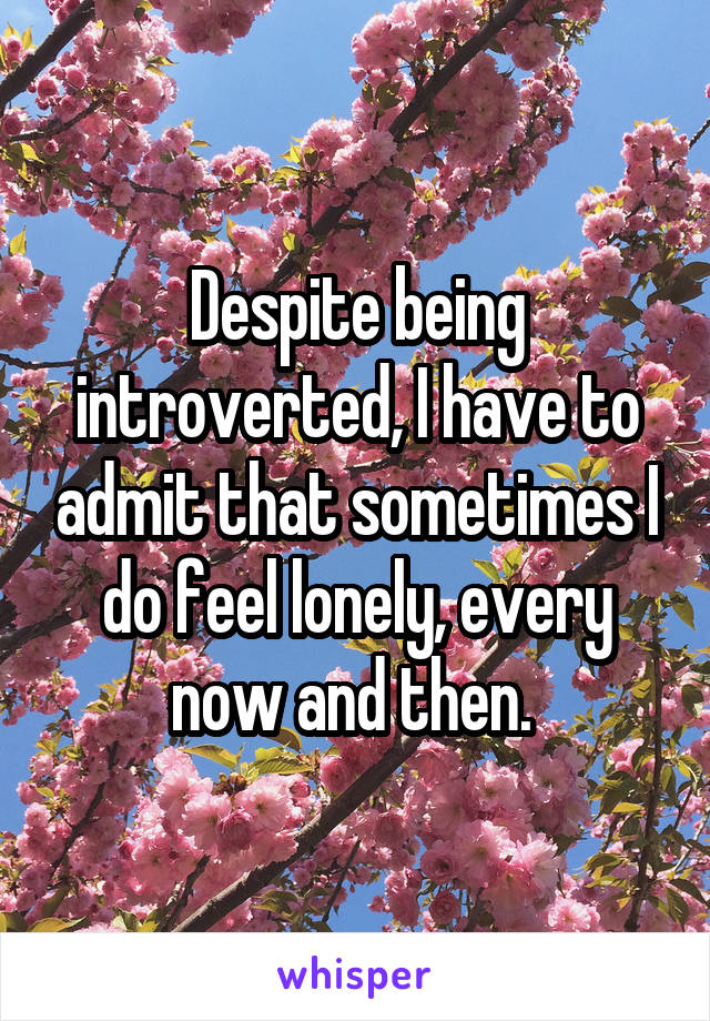 Despite being introverted, I have to admit that sometimes I do feel lonely, every now and then. 