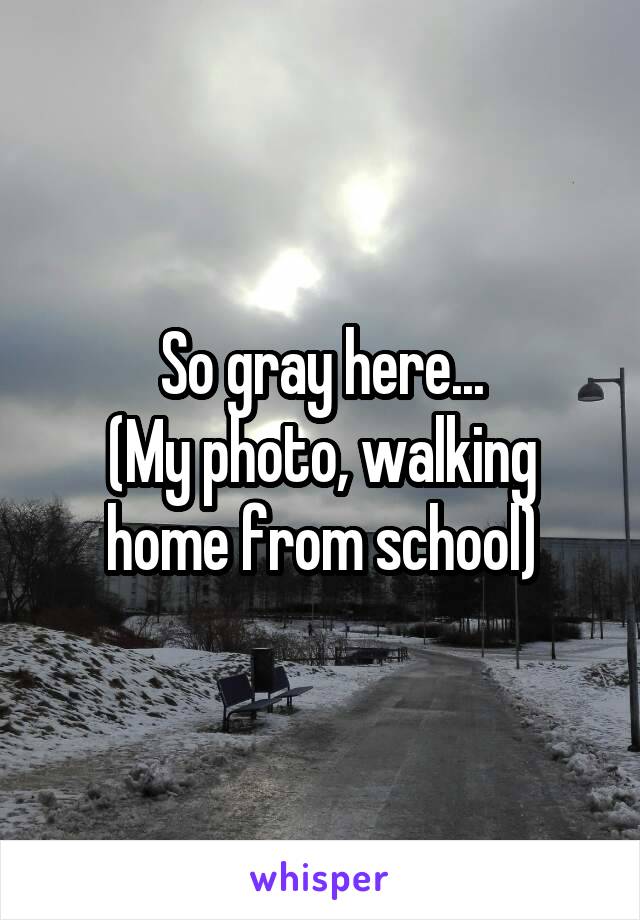 So gray here...
(My photo, walking home from school)