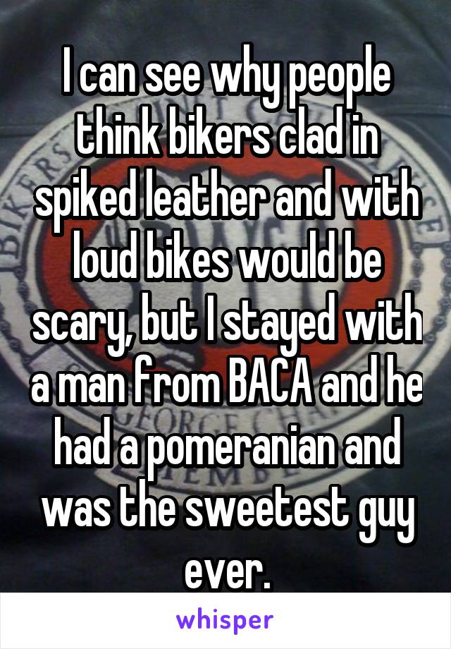 I can see why people think bikers clad in spiked leather and with loud bikes would be scary, but I stayed with a man from BACA and he had a pomeranian and was the sweetest guy ever.