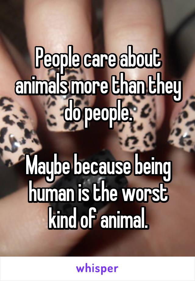 People care about animals more than they do people.

Maybe because being human is the worst kind of animal.