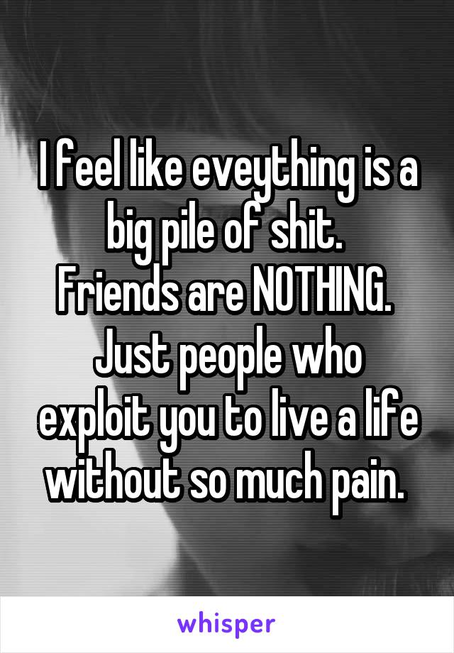 I feel like eveything is a big pile of shit. 
Friends are NOTHING. 
Just people who exploit you to live a life without so much pain. 