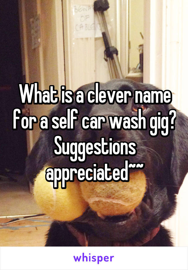 What is a clever name for a self car wash gig? Suggestions appreciated~~