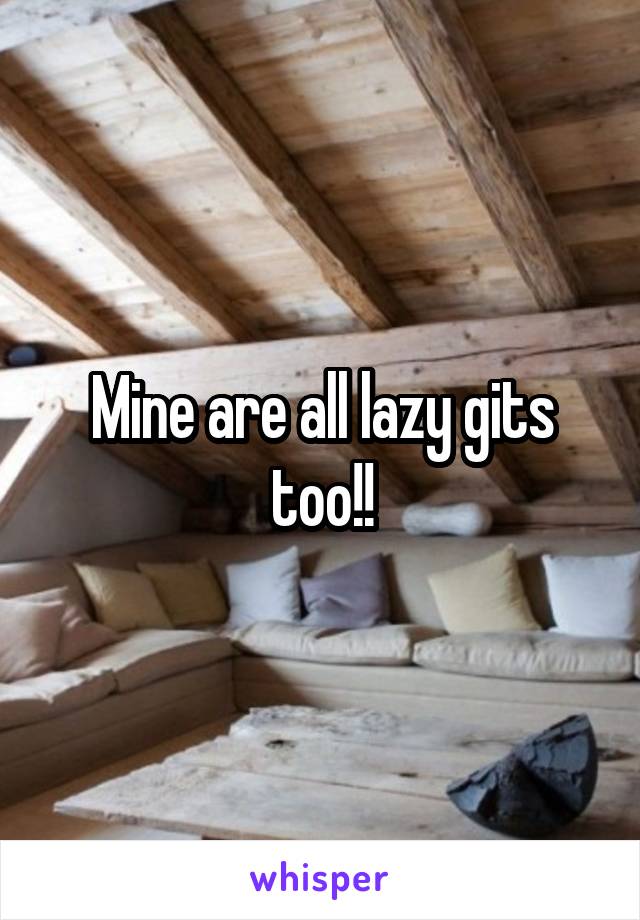 Mine are all lazy gits too!!