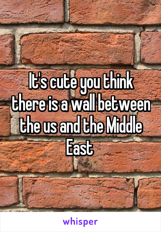 It's cute you think there is a wall between the us and the Middle East 