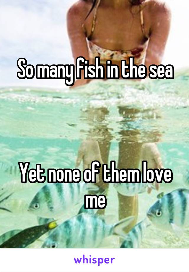 So many fish in the sea



Yet none of them love me