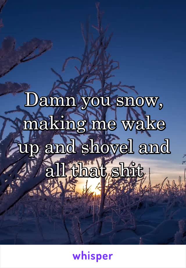 Damn you snow, making me wake up and shovel and all that shit