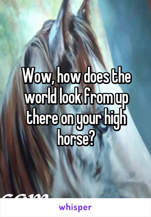 Wow, how does the world look from up there on your high horse?