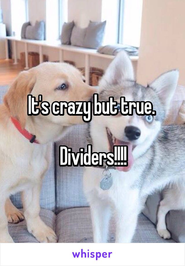 It's crazy but true. 

Dividers!!!!