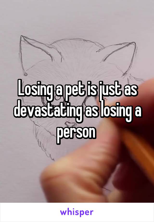 Losing a pet is just as devastating as losing a person 