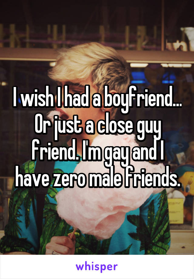 I wish I had a boyfriend... Or just a close guy friend. I'm gay and I have zero male friends.