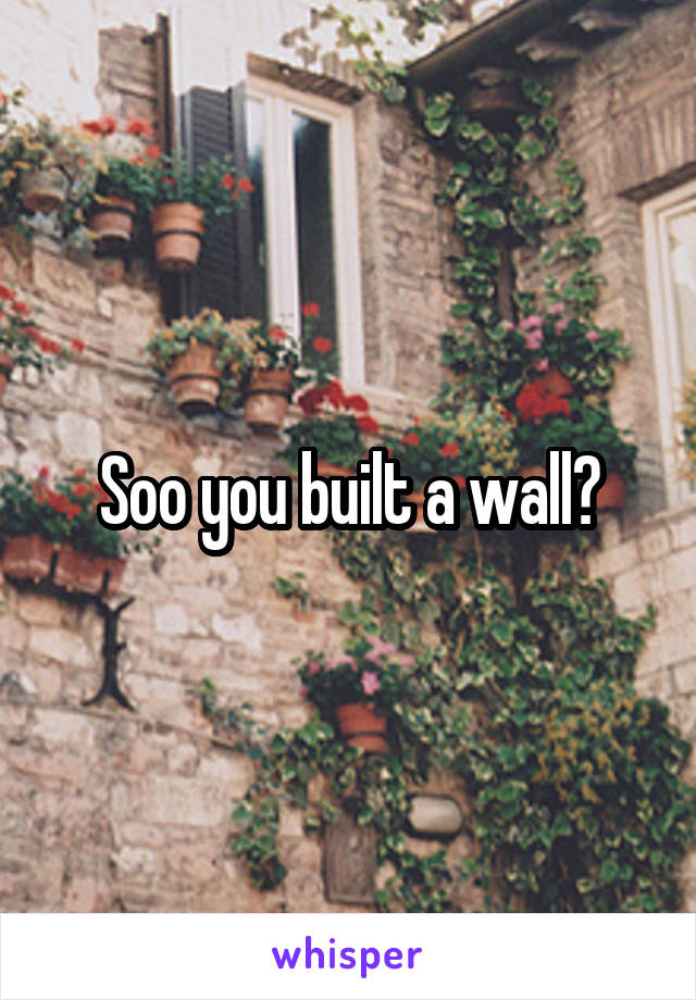 Soo you built a wall?