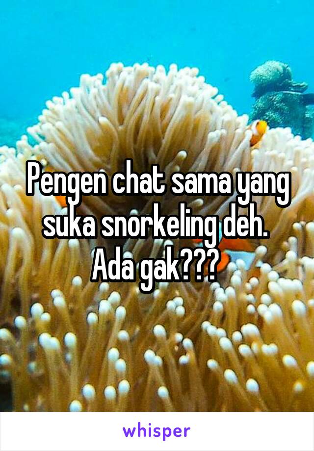 Pengen chat sama yang suka snorkeling deh.  Ada gak??? 