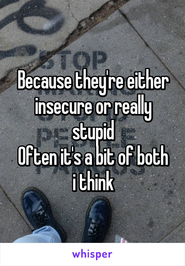 Because they're either insecure or really stupid
Often it's a bit of both i think