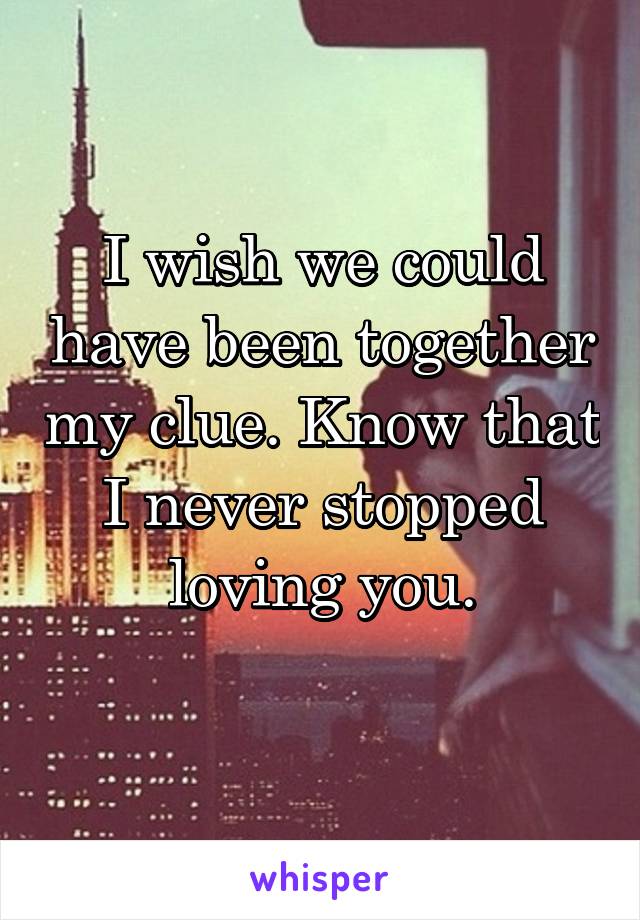 I wish we could have been together my clue. Know that I never stopped loving you.
