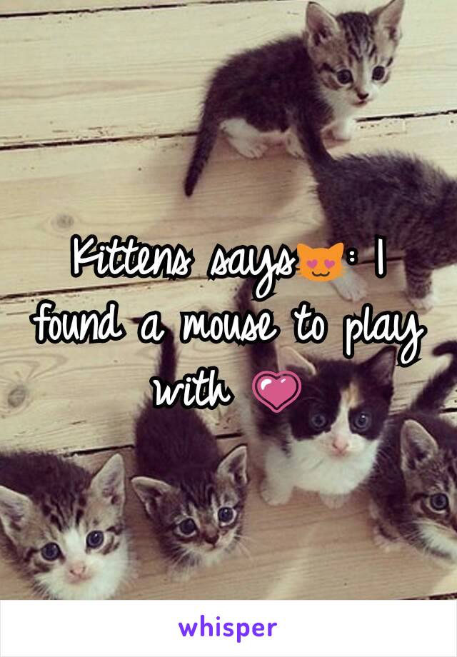 Kittens says😻: I found a mouse to play with 💗