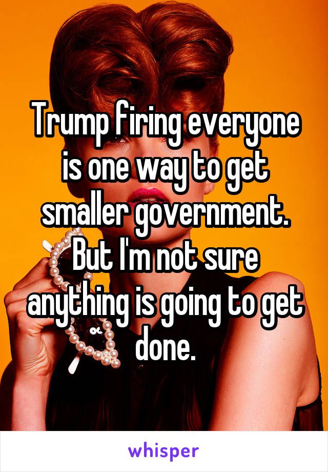 Trump firing everyone is one way to get smaller government. But I'm not sure anything is going to get done.