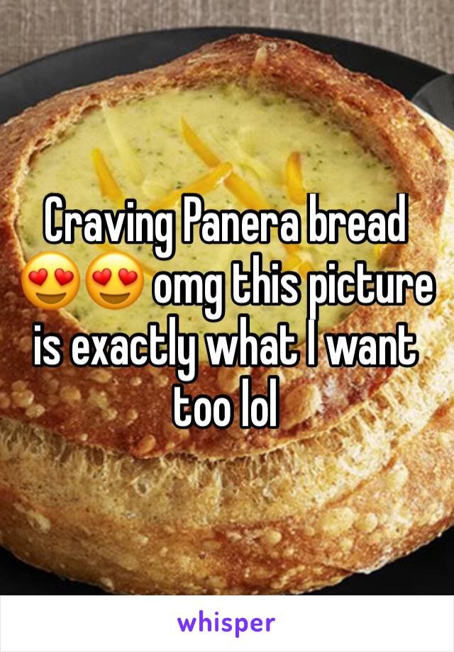 Craving Panera bread 😍😍 omg this picture is exactly what I want too lol 