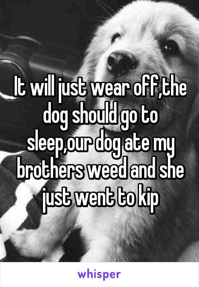 It will just wear off,the dog should go to sleep,our dog ate my brothers weed and she just went to kip