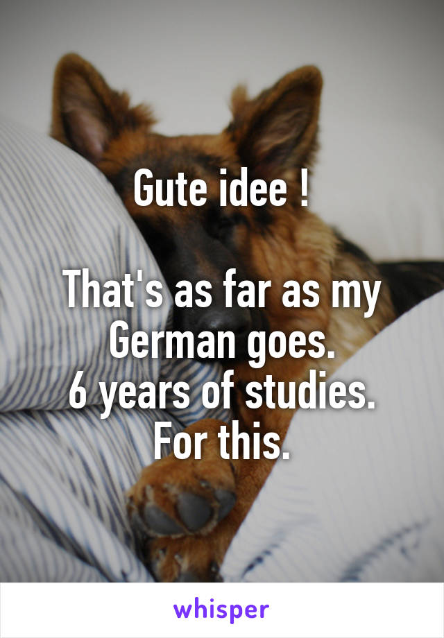 Gute idee !

That's as far as my German goes.
6 years of studies. For this.