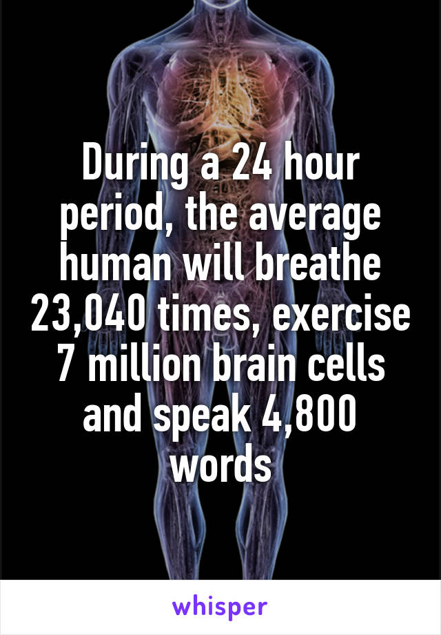 During a 24 hour period, the average human will breathe 23,040 times, exercise 7 million brain cells and speak 4,800 words