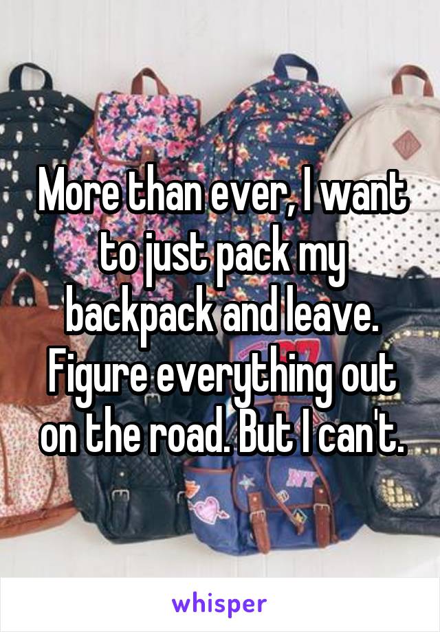 More than ever, I want to just pack my backpack and leave. Figure everything out on the road. But I can't.