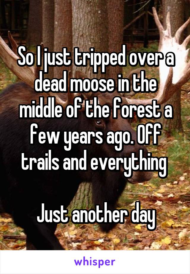 So I just tripped over a dead moose in the middle of the forest a few years ago. Off trails and everything 

Just another day