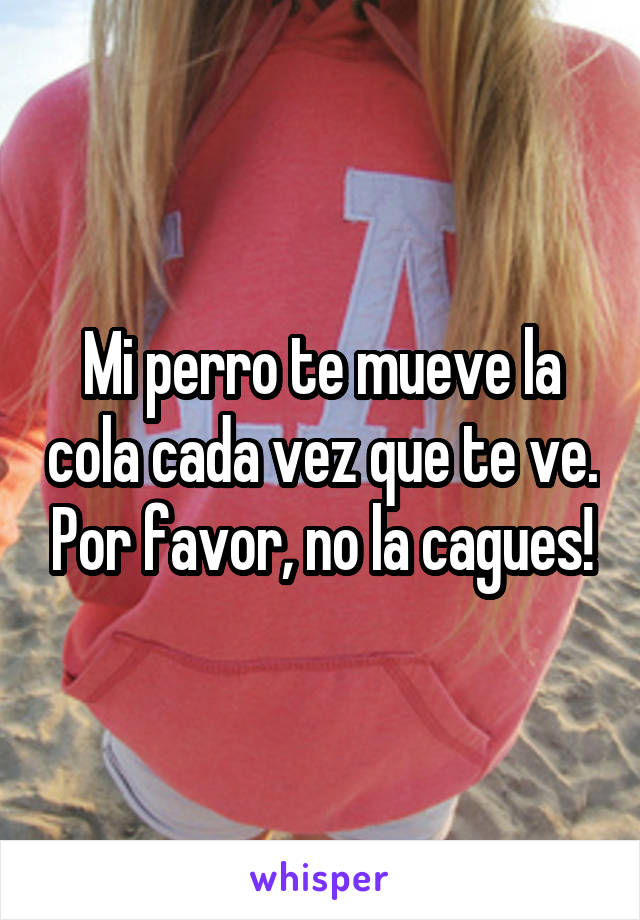 Mi perro te mueve la cola cada vez que te ve. Por favor, no la cagues!