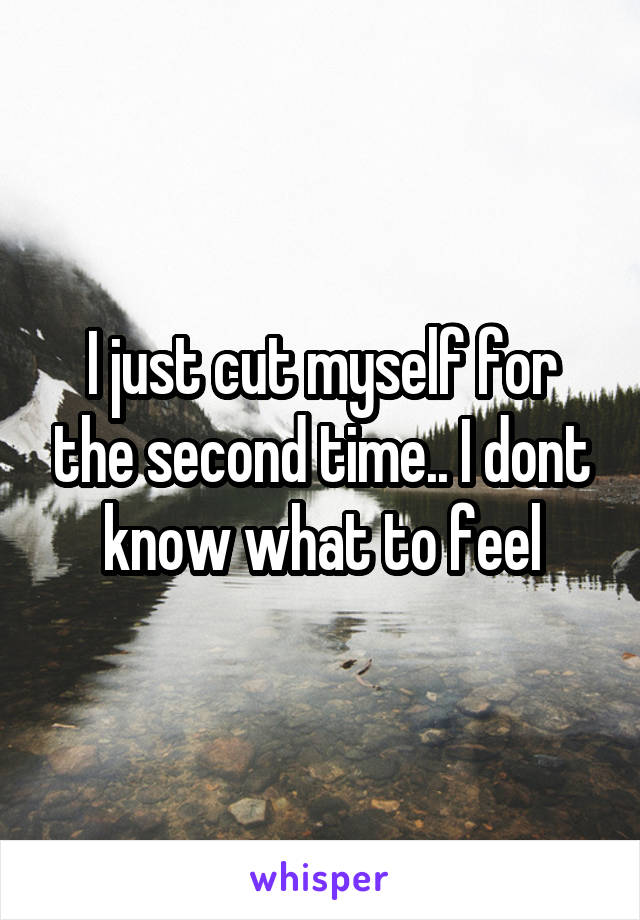 I just cut myself for the second time.. I dont know what to feel