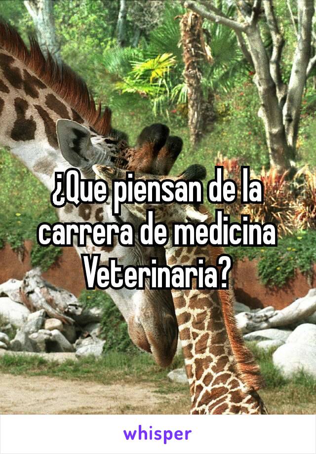 ¿Que piensan de la carrera de medicina Veterinaria?