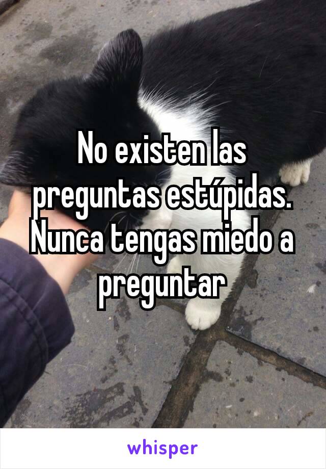 No existen las preguntas estúpidas. Nunca tengas miedo a preguntar
