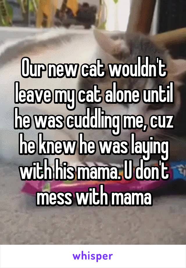 Our new cat wouldn't leave my cat alone until he was cuddling me, cuz he knew he was laying with his mama. U don't mess with mama