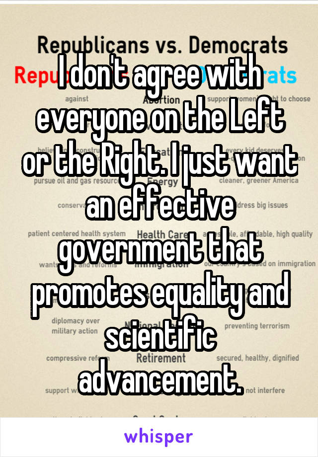 I don't agree with everyone on the Left or the Right. I just want an effective government that promotes equality and scientific advancement.