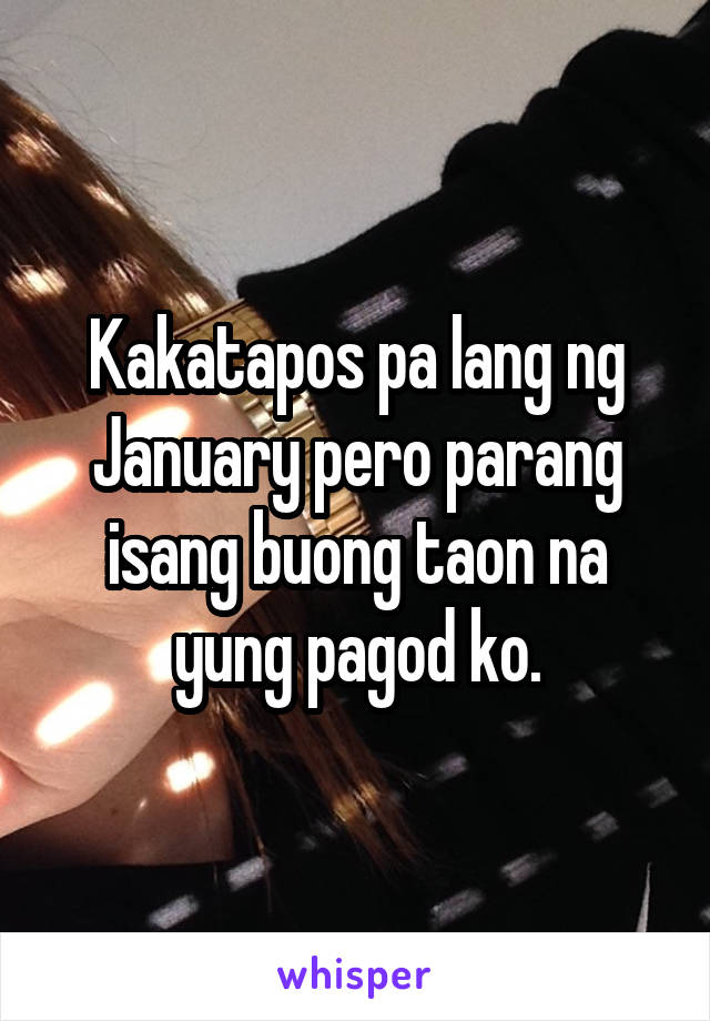 Kakatapos pa lang ng January pero parang isang buong taon na yung pagod ko.