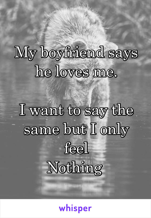 My boyfriend says he loves me.

I want to say the same but I only feel
Nothing 