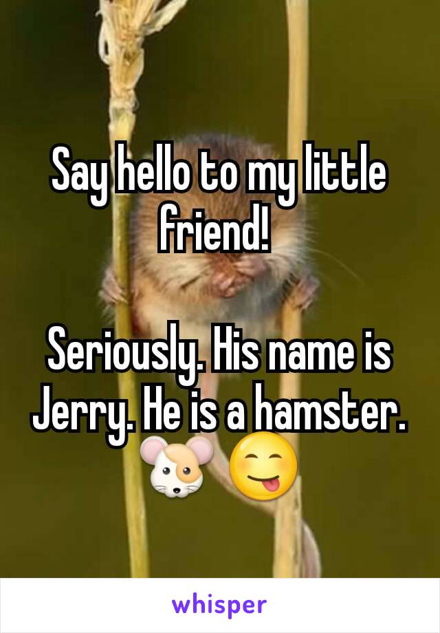 Say hello to my little friend! 

Seriously. His name is Jerry. He is a hamster.🐹 😋