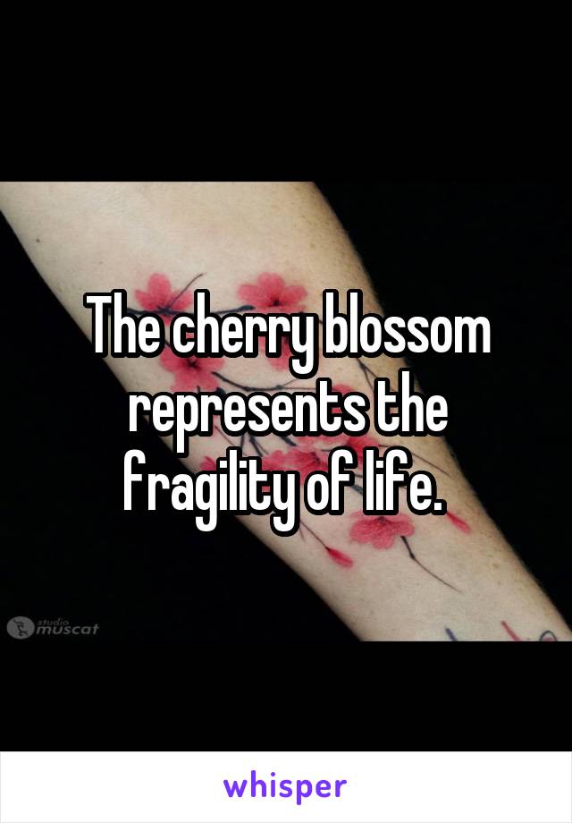 The cherry blossom represents the fragility of life. 