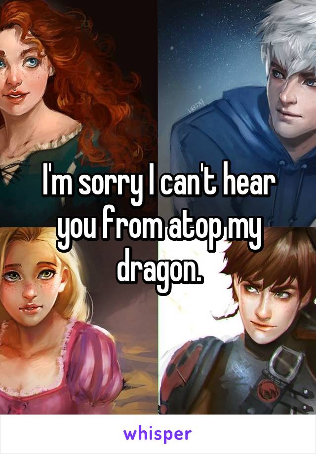 I'm sorry I can't hear you from atop my dragon.