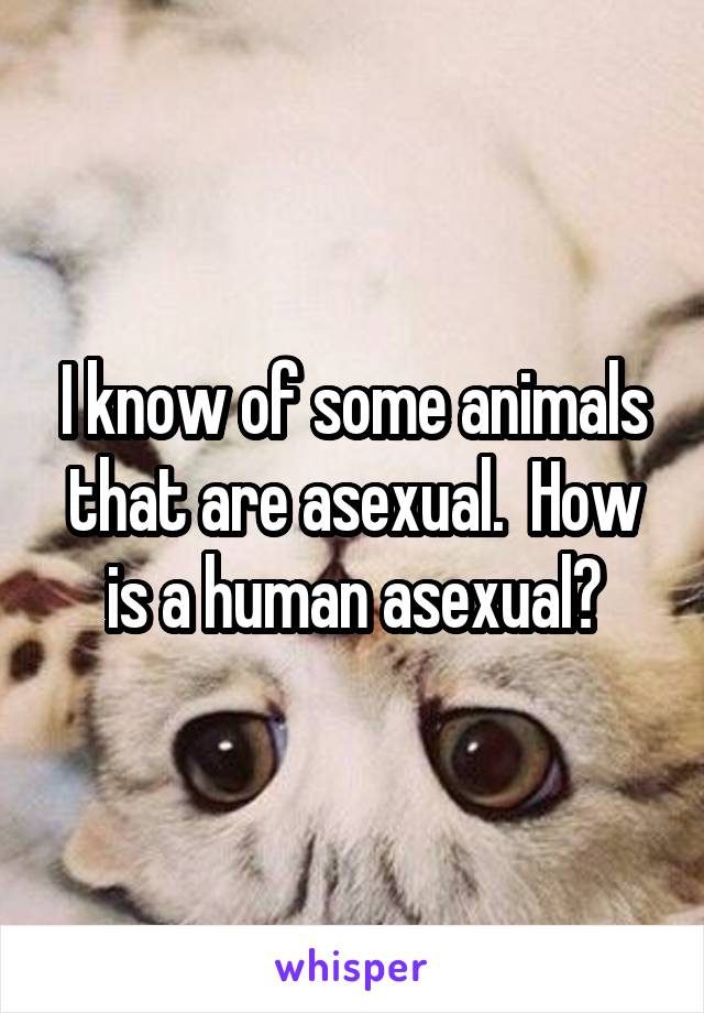 I know of some animals that are asexual.  How is a human asexual?