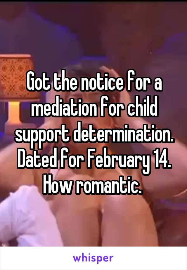 Got the notice for a mediation for child support determination. Dated for February 14. How romantic. 