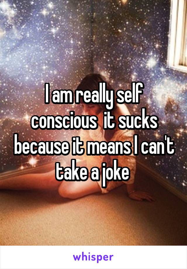 I am really self conscious  it sucks because it means I can't take a joke 