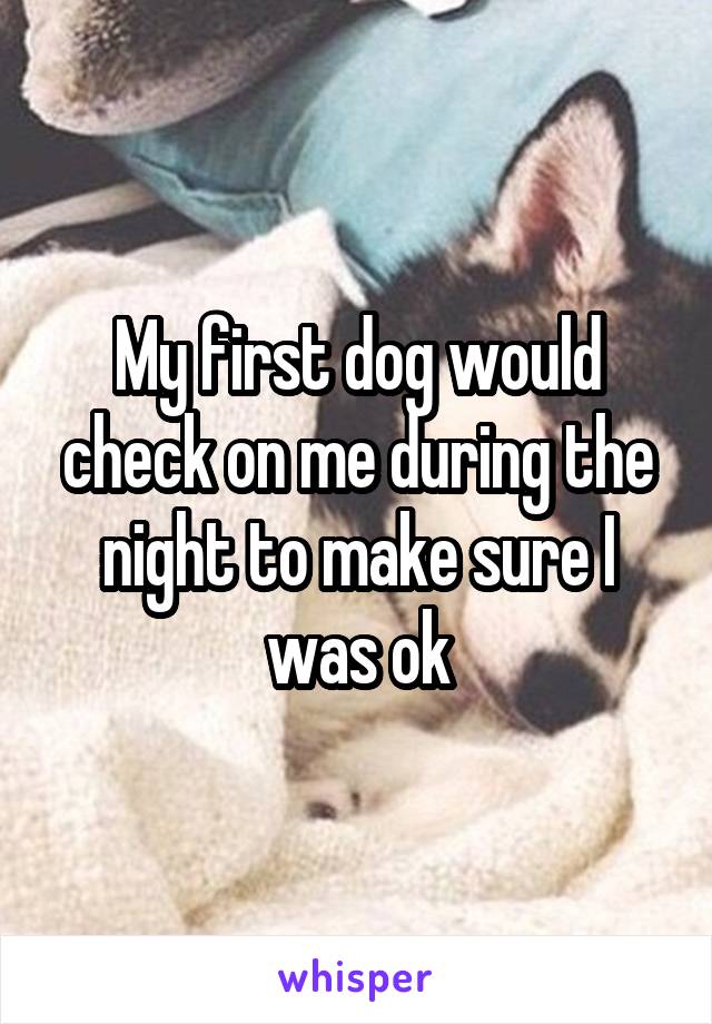 My first dog would check on me during the night to make sure I was ok