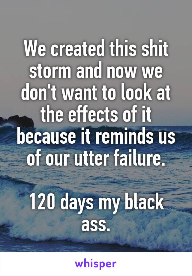 We created this shit storm and now we don't want to look at the effects of it because it reminds us of our utter failure.

120 days my black ass.