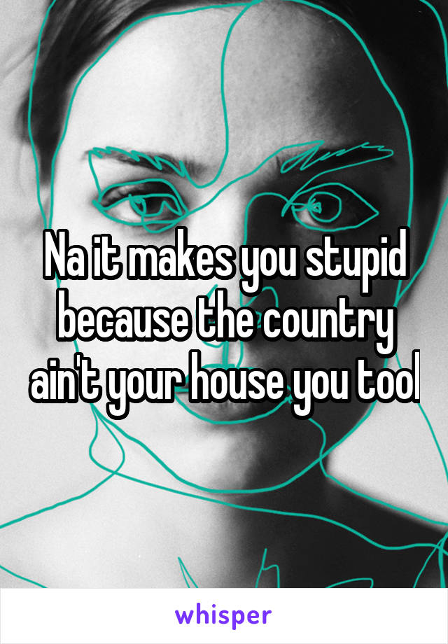 Na it makes you stupid because the country ain't your house you tool