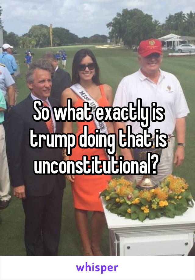 So what exactly is trump doing that is unconstitutional? 