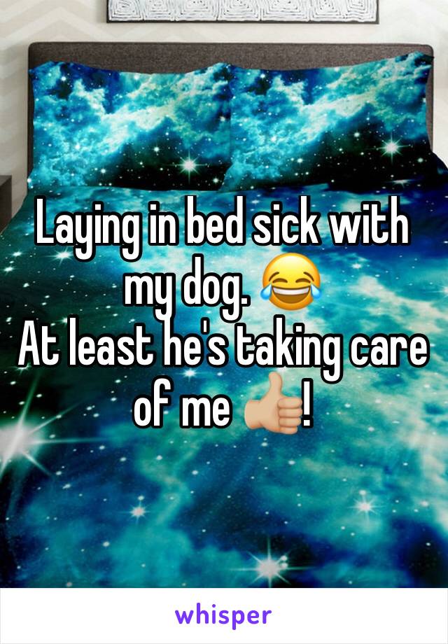 Laying in bed sick with my dog. 😂
At least he's taking care of me 👍🏼! 