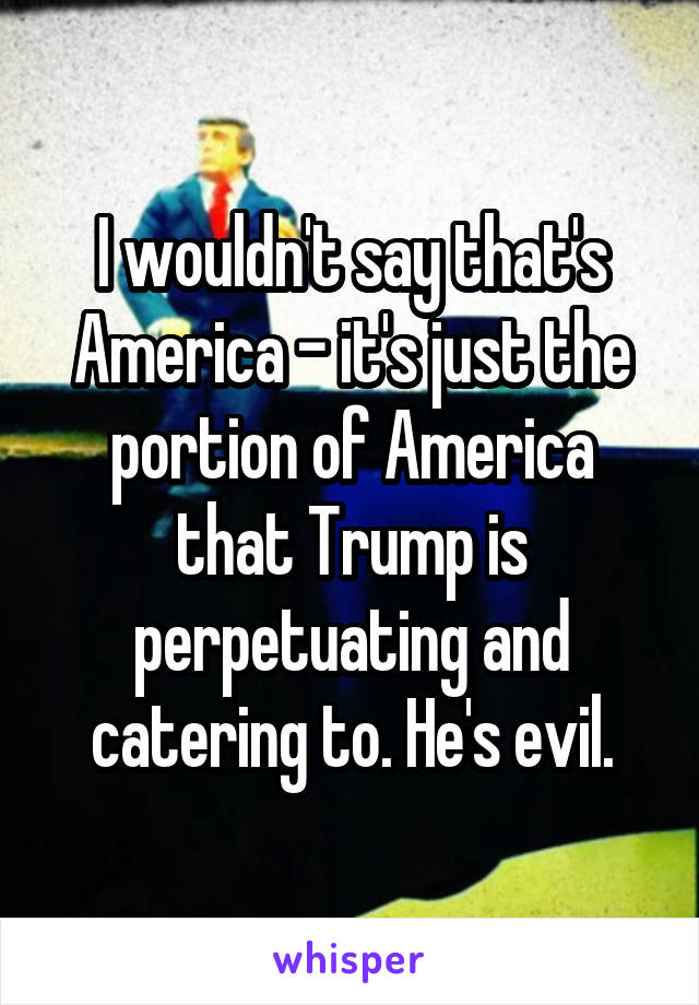 I wouldn't say that's America - it's just the portion of America that Trump is perpetuating and catering to. He's evil.